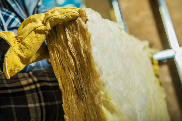 Best Eco-Friendly Insulation in Stoneville, NC
